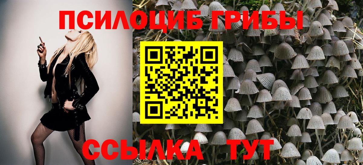 Барабинск  наркота  Вход с VPN  Псилоцибиновые грибы мицелий 
